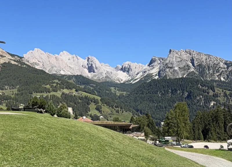 Un prato in pendio e, oltre i boschi, le pareti chiare delle Dolomiti sotto un cielo limpido.